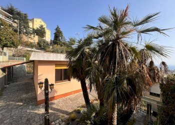 Giardino - Villa via Domenico Chiodo, Genova (zona Castelletto) - foto 25