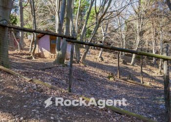 Terreno - Rustico Borgata Veneria, 36, Giaveno - foto 35