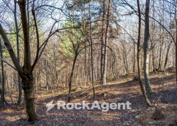 Terreno - Rustico Borgata Veneria, 36, Giaveno - foto 36