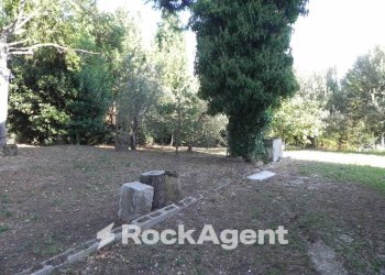 Giardino - Rustico Frazione Montale, 136, Arcevia - foto 26