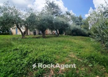 Terreno - Rustico Frazione Montale, 136, Arcevia - foto 34