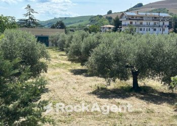 Terreno - Terreno edificabile via Delle Masserie, Castiglione Messer Raimondo - foto 2