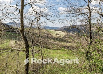 Terreno - Four-room apartment Frazione Camolino, Montesegale - photo 39