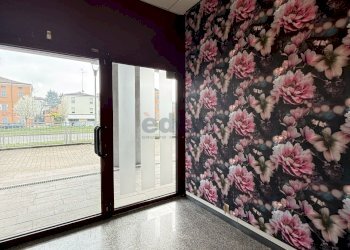 ingresso - Locale Commerciale Via Carlo Zucchi 41, Modena (zona Circoscrizione 1) - foto 20