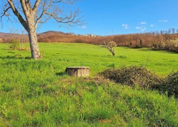 Gemini_Generated_Image_7pkqui7pkqui7pkq.png - Terratetto - Terracielo Via Monte 21, San Leo - foto 18