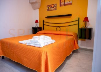 DSC_5172.jpg - Independent house Via San Caterina, Monopoli - photo 5