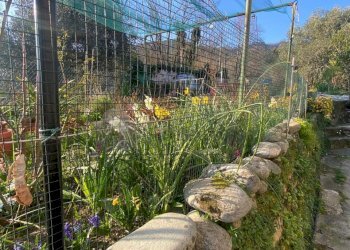 WhatsApp Image 2026-03-05 at 10.42.53.jpeg - Portion of a house Via San Rocco 9, Follo - photo 4