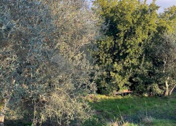 WhatsApp Image 2026-03-05 at 10.42.52 (1).jpeg - Portion of a house Via San Rocco 9, Follo - photo 20