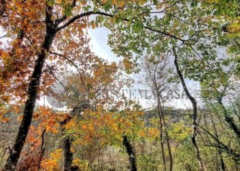 094300728-cbbf9f18-edb8-4d2c-9355-fd7579f1265f.jpg - Casa semi indipendente Via Debeduse 10, Calice al Cornoviglio - foto 24