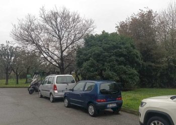 WhatsApp Image 2026-03-18 at 14.44.22.jpeg - Appartamento Via Emilio Salgari 491, Genova (zona Pegli) - foto 19