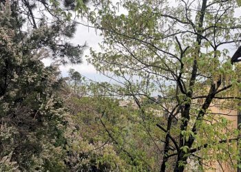 WhatsApp Image 2026-03-18 at 14.44.23.jpeg - Appartamento Via Emilio Salgari 491, Genova (zona Pegli) - foto 21