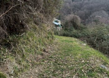 IMG20260309100154.jpg - Independent house Via Gino Pellegrini 10, Varazze - photo 4