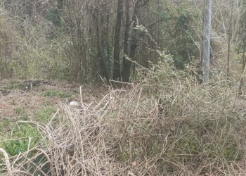 IMG20260309100300.jpg - Independent house Via Gino Pellegrini 10, Varazze - photo 11