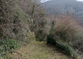 IMG20260309095933.jpg - Independent house Via Gino Pellegrini 10, Varazze - photo 14