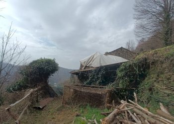 IMG20260309100409.jpg - Independent house Via Gino Pellegrini 10, Varazze - photo 16