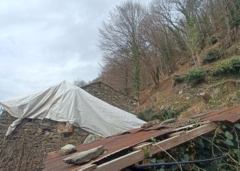 IMG20260309100447.jpg - Independent house Via Gino Pellegrini 10, Varazze - photo 17