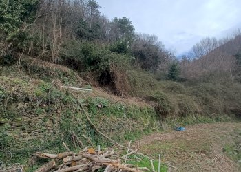 IMG20260309100516.jpg - Independent house Via Gino Pellegrini 10, Varazze - photo 18