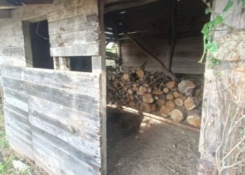 IMG20260309100520.jpg - Independent house Via Gino Pellegrini 10, Varazze - photo 19