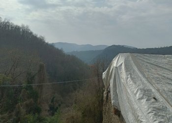 IMG20260309100600.jpg - Independent house Via Gino Pellegrini 10, Varazze - photo 24