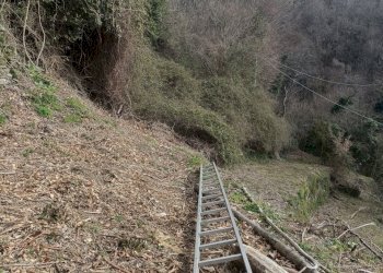 IMG20260309100603.jpg - Independent house Via Gino Pellegrini 10, Varazze - photo 25