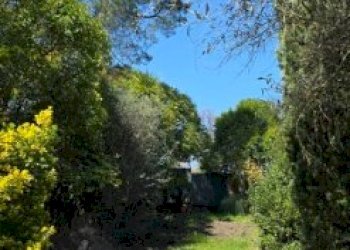 20260317_120243.jpg - Rustic Via Enrico Fermi 10, Morlupo - photo 6