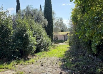 20260317_114654.jpg - Rustic Via Enrico Fermi 10, Morlupo - photo 7