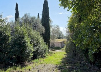 20260317_114657.jpg - Rustic Via Enrico Fermi 10, Morlupo - photo 8