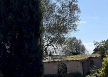 20260317_114730.jpg - Rustic Via Enrico Fermi 10, Morlupo - photo 9