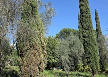 20260317_114908.jpg - Rustic Via Enrico Fermi 10, Morlupo - photo 13