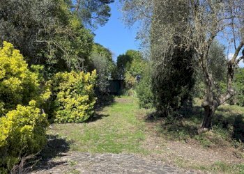 20260317_114913.jpg - Rustic Via Enrico Fermi 10, Morlupo - photo 14