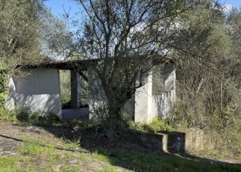 20260317_115004.jpg - Rustic Via Enrico Fermi 10, Morlupo - photo 15