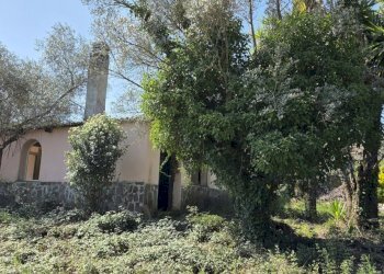 20260317_115035.jpg - Rustic Via Enrico Fermi 10, Morlupo - photo 17