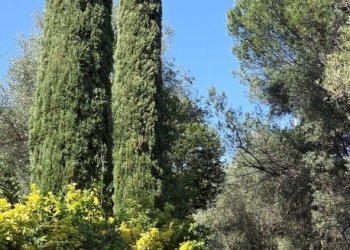 20260317_115059.jpg - Rustic Via Enrico Fermi 10, Morlupo - photo 18