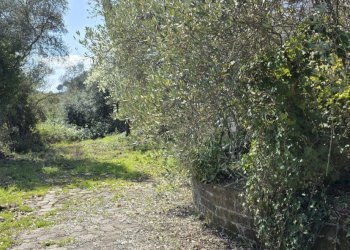 20260317_115234.jpg - Rustic Via Enrico Fermi 10, Morlupo - photo 21