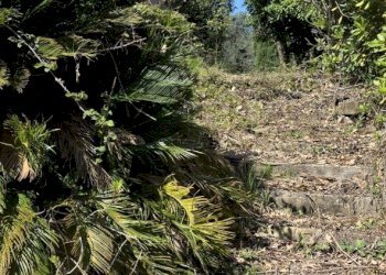 20260317_115315.jpg - Rustic Via Enrico Fermi 10, Morlupo - photo 23