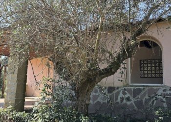 20260317_115344.jpg - Rustic Via Enrico Fermi 10, Morlupo - photo 24