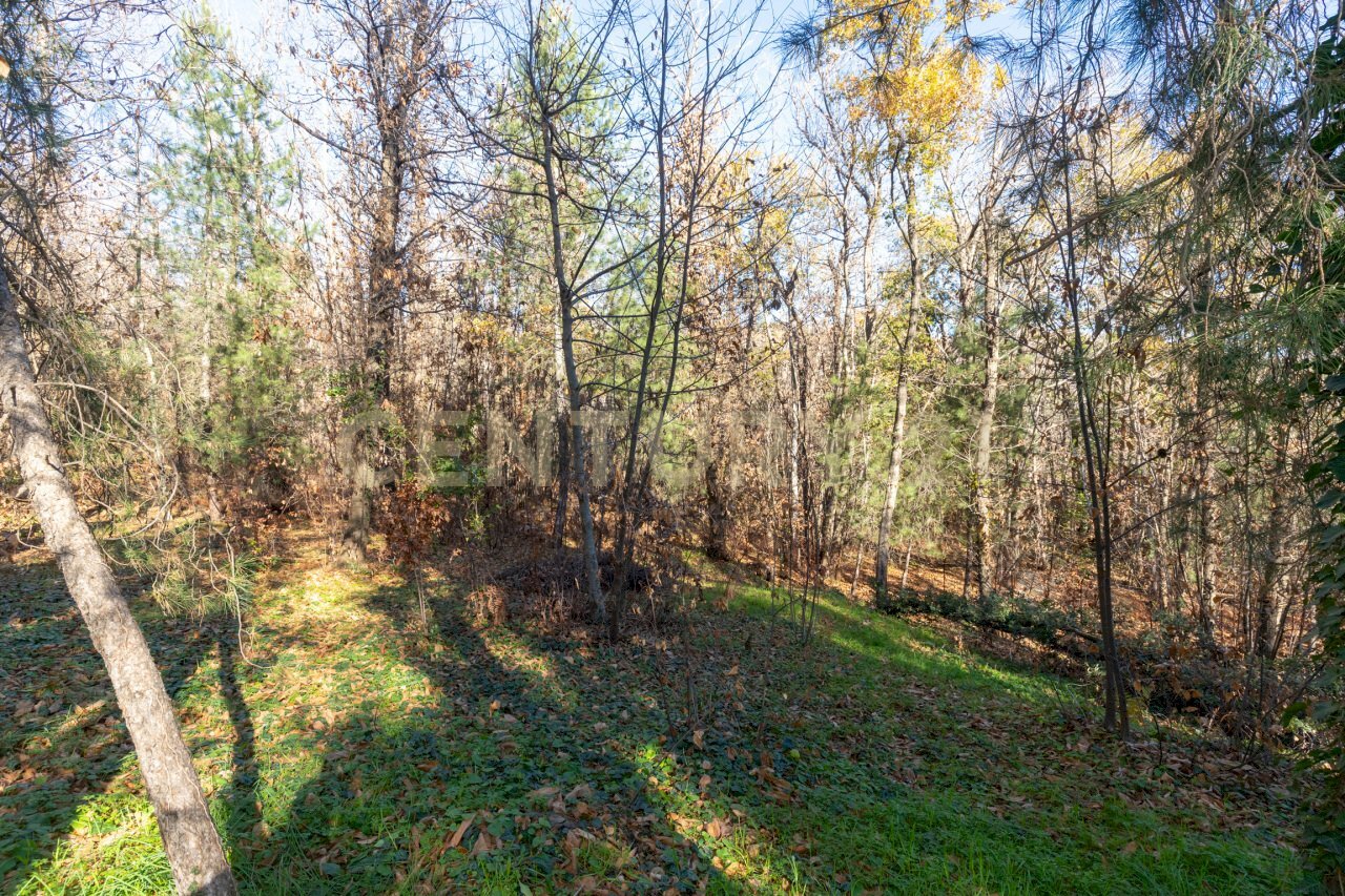 Via della Regione 70 (13).jpg - Villa Via della Regione 70, Pedara - foto 2