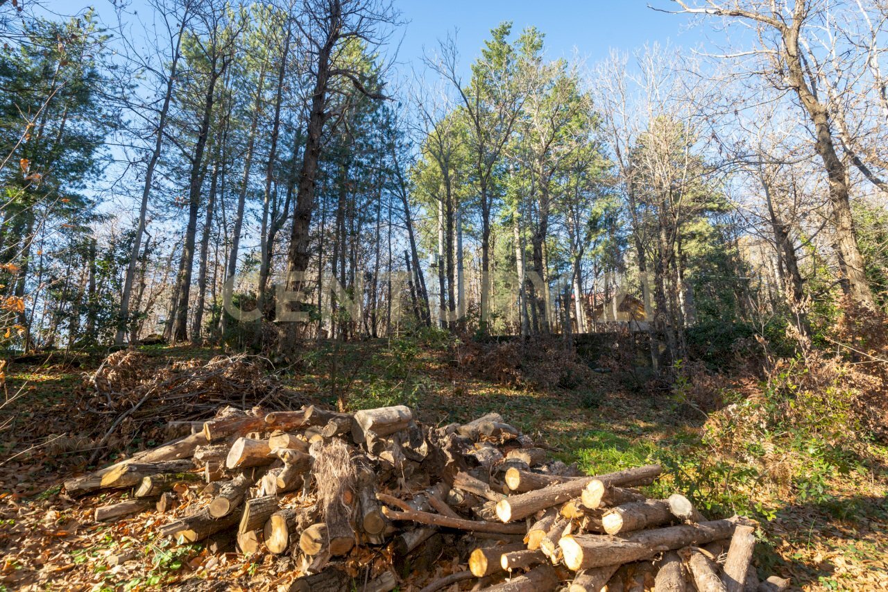 Via della Regione 70 (14).jpg - Villa Via della Regione 70, Pedara - foto 3