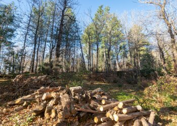 Via della Regione 70 (14).jpg - Villa Via della Regione 70, Pedara - foto 3