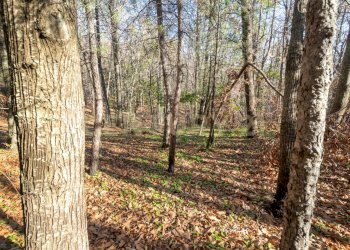 Via della Regione 70 (11).jpg - Villa Via della Regione 70, Pedara - foto 26