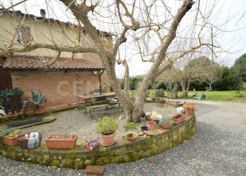 DSC_0279.jpg - Porzione di casa via Aurelia Sud Loc. Braccagni 108, Grosseto - foto 4