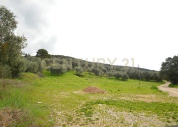 DSC_0258.jpg - Porzione di casa via Aurelia Sud Loc. Braccagni 108, Grosseto - foto 6