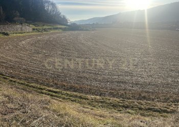 IMG_7220.JPG - Building land Via Don Giovanni Calabria 2, Tregnago - photo 14