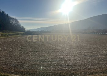 IMG_7221.JPG - Building land Via Don Giovanni Calabria 2, Tregnago - photo 15