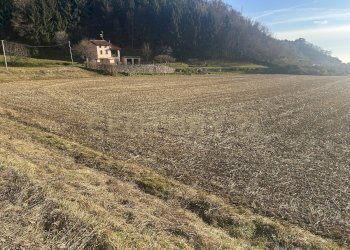 IMG_7211.JPG - Building land Via Don Giovanni Calabria 2, Tregnago - photo 6