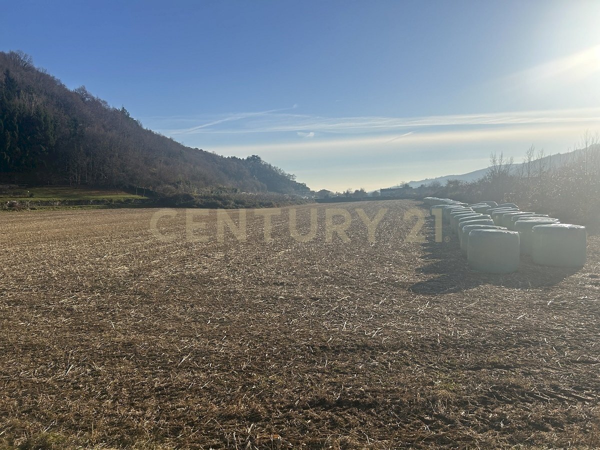 IMG_7207.JPG - Building land Via Don Giovanni Calabria 2, Tregnago - photo 2