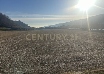 IMG_7210.JPG - Building land Via Don Giovanni Calabria 2, Tregnago - photo 5