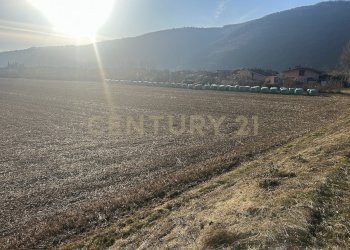 IMG_7214.JPG - Building land Via Don Giovanni Calabria 2, Tregnago - photo 9
