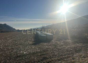 IMG_7209.JPG - Building land Via Don Giovanni Calabria 2, Tregnago - photo 4