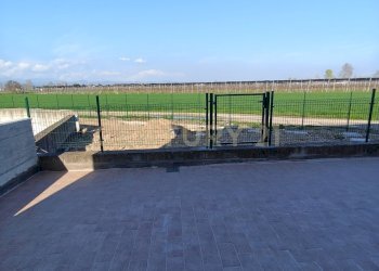 IMG20260316153727.jpg - Appartamento Via Toffanelle Nuove, Verona - foto 21